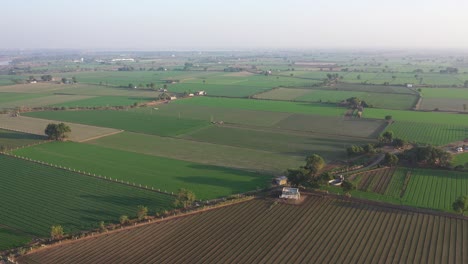 Vista-Aérea-De-Drones-Se-Están-Plantando-Diferentes-Cultivos-En-Los-Campos