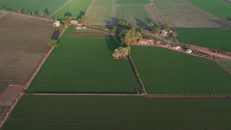 Drohnenaufnahme-Aus-Der-Luft:-Die-Drohnenkamera-Bewegt-Sich-Zur-Seite,-Wo-Es-Viele-Felder-Gibt,-Die-Von-Kokospalmen-Und-Kleinen-Häusern-Umgeben-Sind