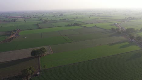 La-Vista-Aérea-Del-Dron-Mira-Hacia-El-Lado-De-La-Cámara-Del-Dron,-Se-Ven-Muchos-Campos-Y-Caminos-Pequeños