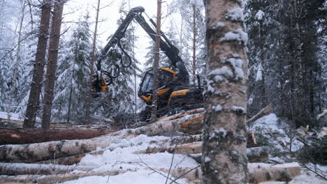 Forstmaschinen-Arbeiten-Im-Winter,-Kalter,-Eiskalter-Tag,-Statische-Ansicht