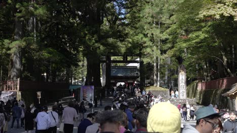 Vista-De-La-Gran-Cola-De-Visitantes-Haciendo-Cola-Para-Entrar-Al-Santuario-Nikko-Toshogu