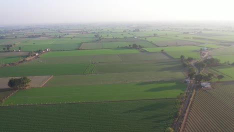 Vista-Aérea-De-Drones-Que-Muestra-Muchos-Tipos-Diferentes-De-Campos-Plantados-Con-Cultivos