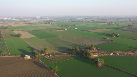 Vista-Aérea-De-Drones-Que-Muestra-Muchos-Cultivos-Diferentes-Sembrados-En-El-Campo-Y-Diferentes-Cultivos-Como-El-Trigo-Cebolla-Se-Siembran-En-El-Campo