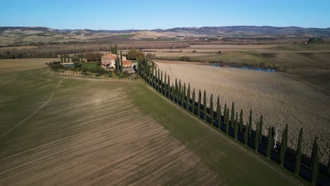 Una-Larga-Fila-De-árboles-Bordea-La-Carretera-Que-Conduce-A-La-Mansión-Con-Vistas-A-La-Pintoresca-Campiña-Toscana.