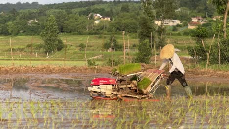 Bauer-Pflanzt-Reis-Auf-Reisfeld-In-Gilan-Rasht,-Iran,-Reisanbau,-Erntesaison,-Arbeit-Im-Teich,-Schlammfeld,-Rote-Landwirtschaft,-Werkzeugmaschinen,-Reflexion-über-Wasser,-Bio-Gesundheitstourismus