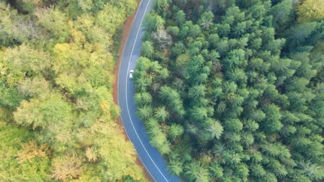 Vista-Aérea-De-Un-Vehículo-Autónomo-Conduciendo-Por-Una-Carretera-Rural-A-Través-Del-Bosque.