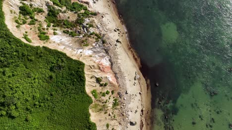 Toma-Aérea-De-La-Costa-En-El-Viñedo-De-Martha,-Ma