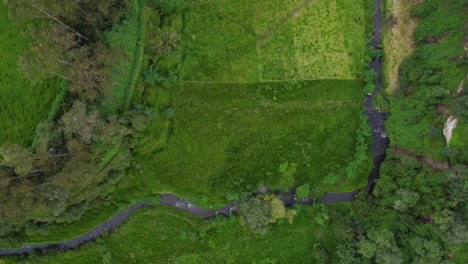 Mäandernder-Fluss,-Der-Von-Oben-Nach-Unten-Durch-üppiges-Grünes,-Fruchtbares-Ackerland-Fließt