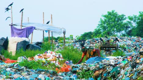 Indian-woman-digging-in-landfill,-hard-life-in-slums