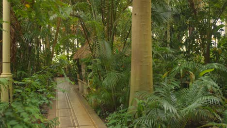 Pan-shot-of-area-of-the-National-Botanic-Gardens-of-Ireland