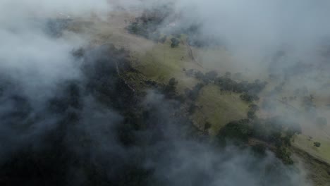 Drohne-Fliegt-über-Den-Wolken-Im-Fanalwald,-Während-Lorbeerbäume-Auf-Dem-Boden-Sichtbar-Sind