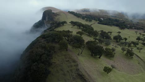 Drones-Volando-Sobre-Las-Nubes-En-El-Bosque-De-Fanal-Mientras-Los-Laureles-Son-Visibles-En-El-Suelo