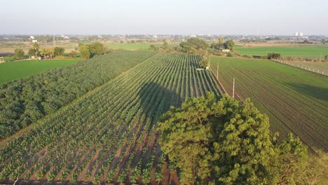 La-Vegetación-Era-Visible-En-Las-Reservas-Y-Los-Campos-Cuando-Caían-Los-Rayos.