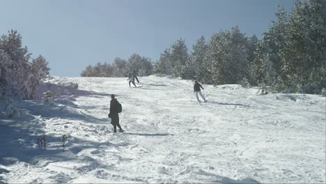 Young-skiers-sliding-down-slopes-in-slow-motion-ski-resort-winter-sunny