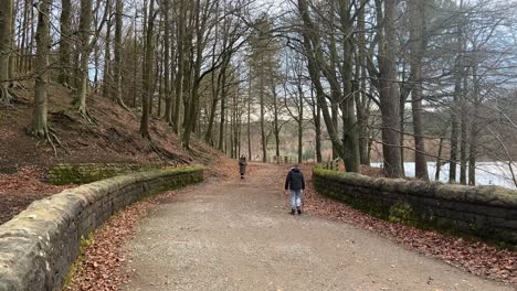 Country-woodland-pathway-with-fallen-leaves