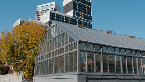 Greenhouse-building-in-the-city