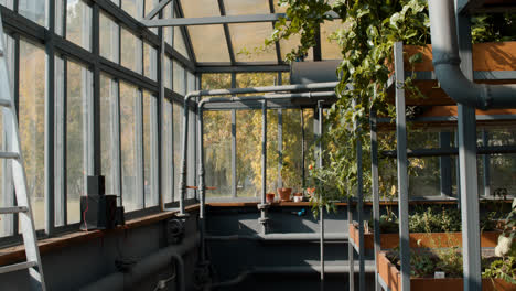 Greenhouse-interior