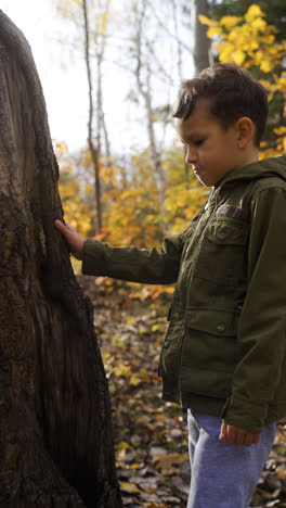 Niño-Jugando-En-La-Naturaleza