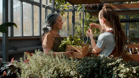 People-in-a-greenhouse