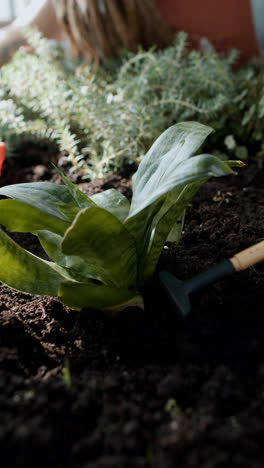 Gardener-working-indoors