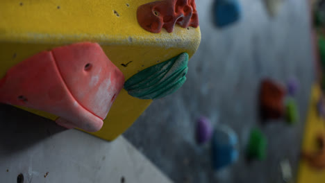 Interior-of-a-climbing-wall-centre