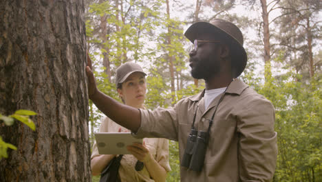 Guardabosques-Caucásicos-Y-Afroamericanos-Que-Examinan-La-Corteza-De-Un-árbol-Y-La-Revisan-En-Una-Tableta-En-El-Bosque