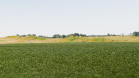 Golf-ball-on-the-grass.