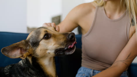 Close-up-view-of-a-dog-and-woman-at-home