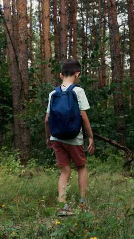 Children-at-the-forest