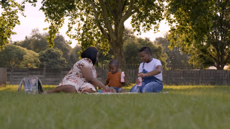 Family-eating-outdoors