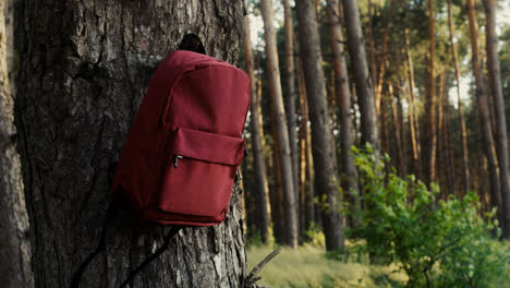 Red-backpack-on-a-tree