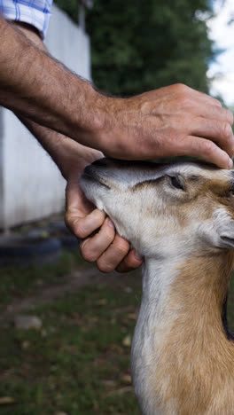 Farmer-with-little-goat