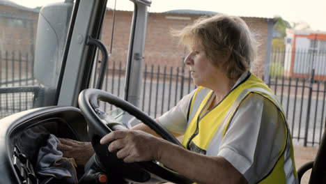 Mature-woman-cleaning-vehicle