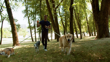 Young-man-with-pets-at-the-park