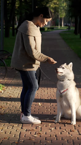 Pet-owner-with-her-dog-at-park