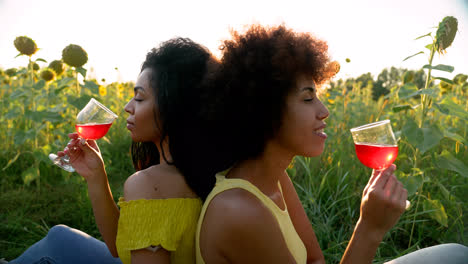 Women-drinking-on-a-picnic