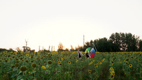Lovely-couple-in-a-sunflower-field