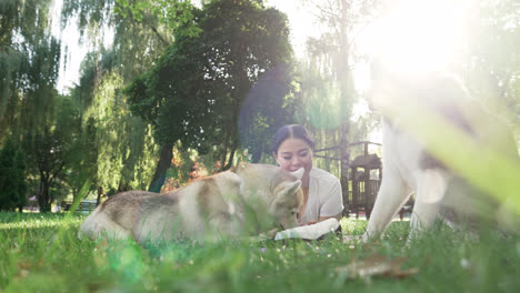 Pet-owner-doing-picnic-with-her-dogs