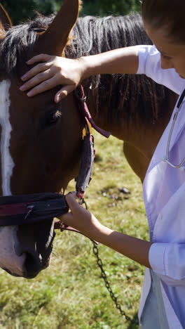 Woman-touching-horse-outdoors