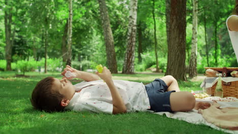 Boy-lying-on-blanket-and-blowing-soap-bubbles-in-the-park