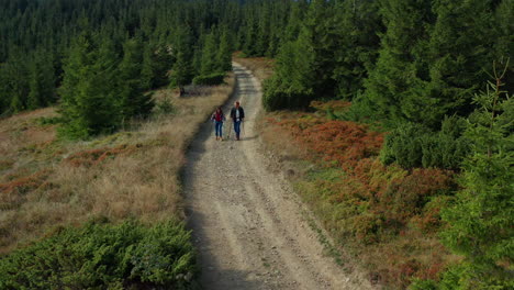 Young-couple-hiking-along-mountain-path-among-spruce-trees-in-summer