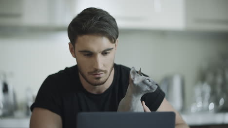 Handsome-man-working-on-laptop-computer-with-sphynx-cat