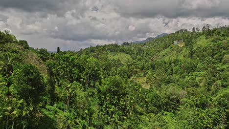 Ella-Sri-Lanka-Aerial-v28-cinematic-drone-flyover-the-verdant-valley-capturing-the-wilderness-of-mountainous-landscape,-hillside-jungle-forest-and-lush-greenery---Shot-with-Mavic-3-Cine---April-2023