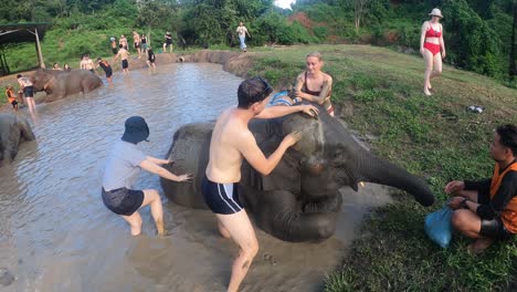 Tourists-covering-an-elephant-in-mud-for-protection-on-a-sanctuary-in-Chiangmai