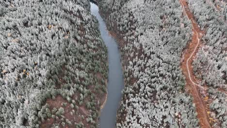 Above-View-Of-Snow-Forest-Valley-And-River-During-Winter-In-Idaho,-United-States