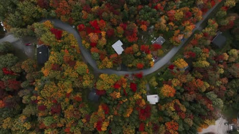 Bird's-Eye-View-Of-Colorful-Trees-During-Autumn-Around-The-Houses