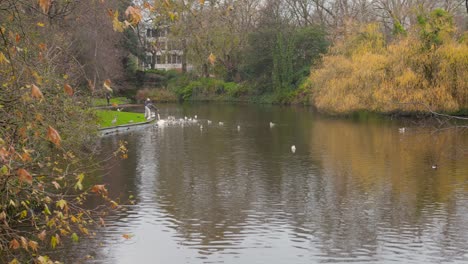 Vista-Panorámica-Del-Estanque-En-El-Parque-St-Stephens-Green-En-La-Ciudad-De-Dublín