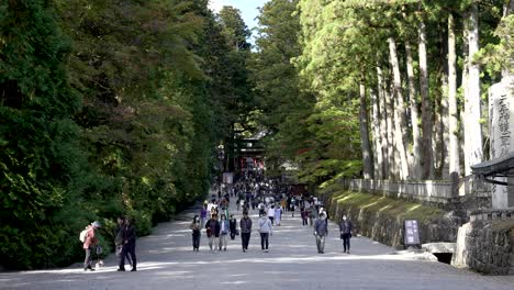 Tourists-groups-entering-Japanese-cultural-Toshogu-shrine-attraction-SLO-MO