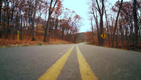 Camino-Con-Hojas-De-Otoño-Punto-De-Vista-Del-árbol-En-Un-Día-Nublado-Tiro-De-ángulo-Bajo-Lento