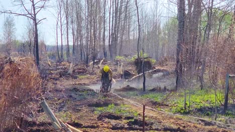 Mutige-Feuerwehrleute-Schleppen-Schwere-Schläuche-Aus-Der-Waldbrandgefahrzone